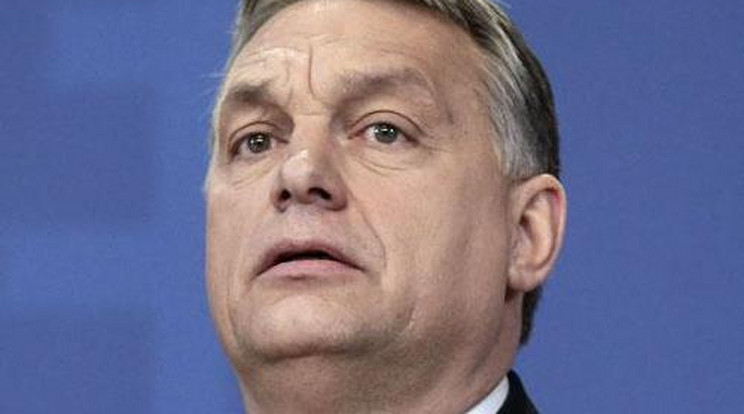 Nyomoznak Orbán vejének cége ellen