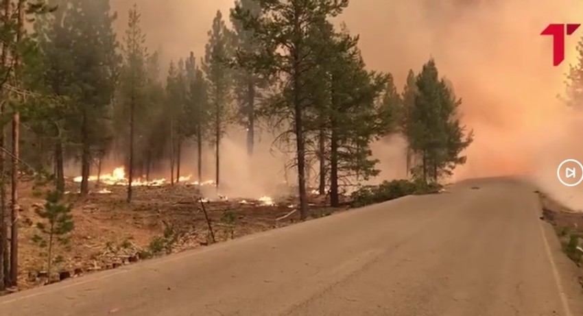 Požar kod Šibenika
