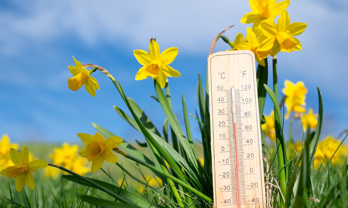 Thermometer,With,Daffodils,Flowers,,Blue,Sky,And,Sun,,Measure,The