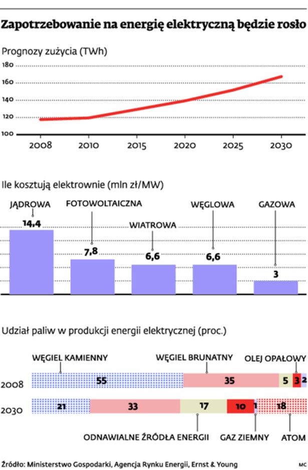 Znaczenie gazu w światowej energetyce będzie wzrastać