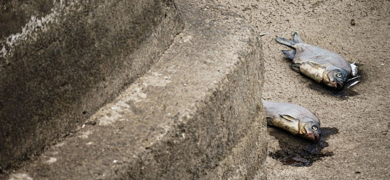 "Uwaga! Zanieczyszczona woda w Nerze". RCB rozszerza alert