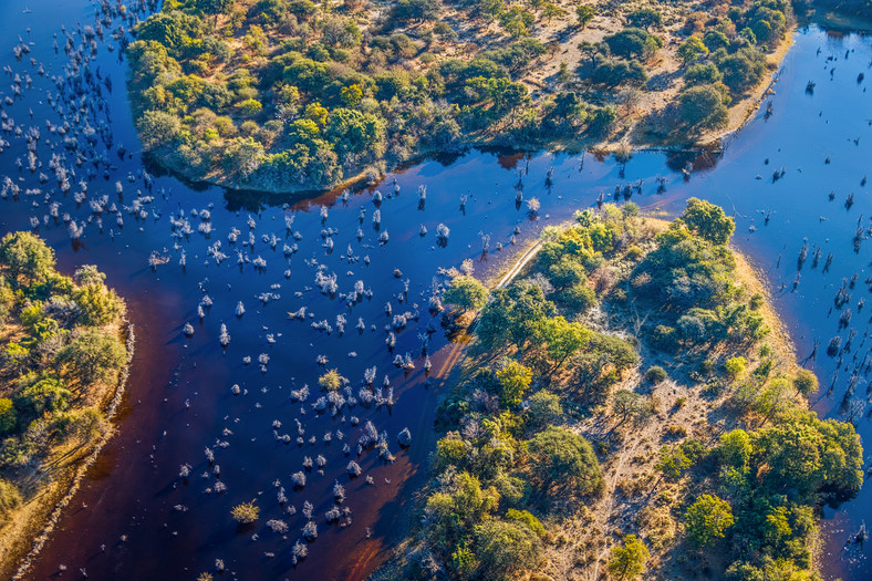 Delta rzeki Okawango