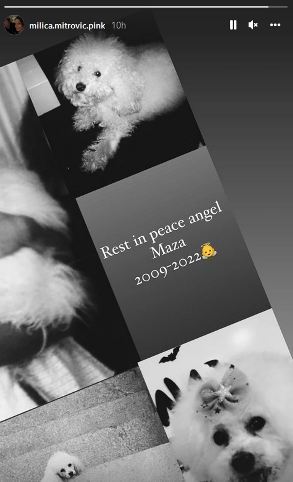 Milica Mitrović objava
