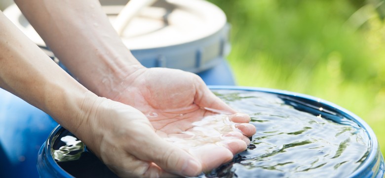 Nawet 4000 zł na deszczówkę. Dotacje wracają z rekordowym budżetem