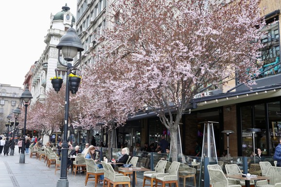 Zašto proleće počinje 20, a ne 21. marta, kako su brojne generacije učile u školi: Evo objašnjenja i još nešto - stizaće nam i 19. marta!