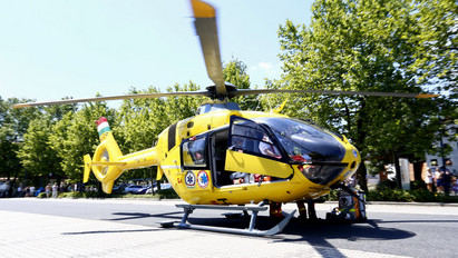 Nyolcéves kislányt támadott meg egy kutya Répcevisen, mentőhelikopterrel vitték kórházba