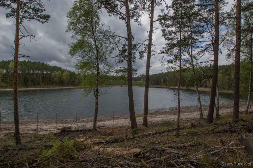 Ogrodził jezioro metalową siatką