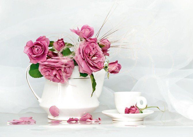 FaIktkqTURBXy9jM2JhYWE2Y2ZmMDk0ODZkYWQ5OGQxZTk4OWVhMTIzOC5qcGVnkZMCzQKeAA