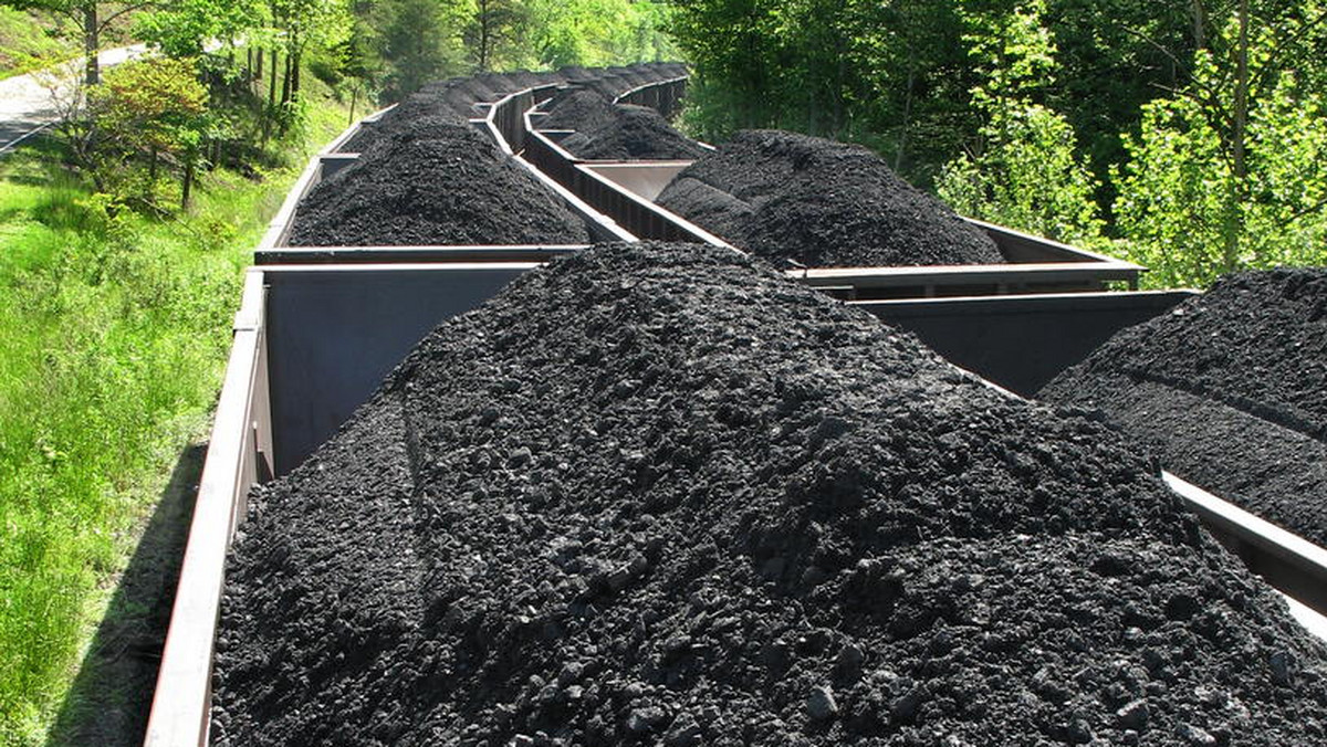 Firmy sprzedające w kraju węgiel opałowy zamierzają wspólnie stworzyć i promować markę Polski Węgiel. Dzięki temu chcą zwiększyć konkurencyjność i skutecznie przeciwstawić się importowi tego surowca. Pod nowym szyldem mają działać składy węgla różnych firm.
