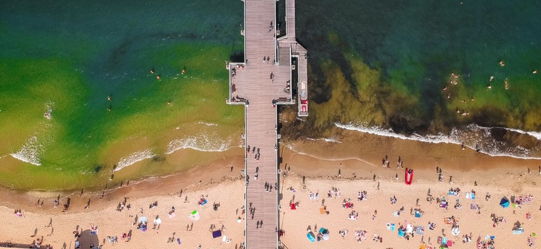 Zmiany klimatu uderzają w nasze morze. Jak zmieni się Bałtyk?