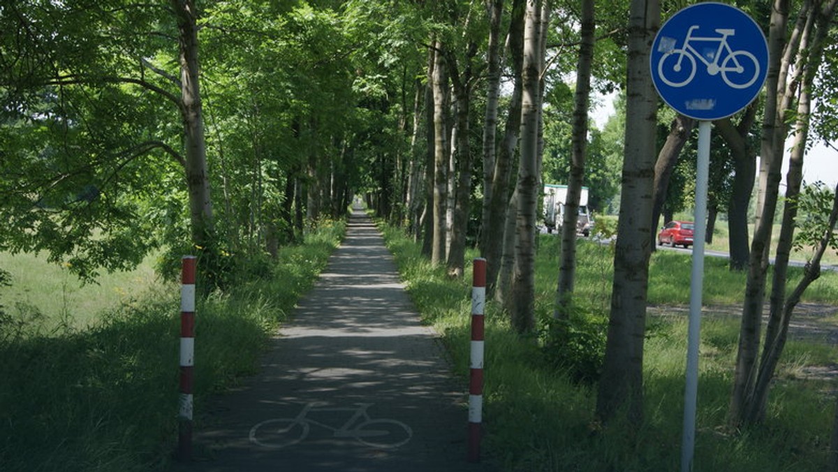 Burmistrz Zakopanego zdementował pogłoski, jakoby zadecydował o zarzuceniu projektu budowy ścieżek rowerowych pomiędzy Zakopanem a Kościeliskiem. W ramach projektu Bike'owe Zakopane mają powstać m.in. biegowe trasy rowerowe i narciarskie, a także infrastruktura towarzysząca, czyli toalety publiczne, boiska, parkingi, miejsca odpoczynku rowerowego.