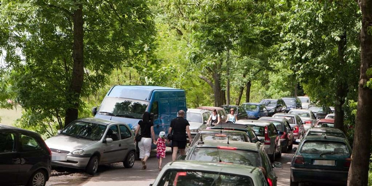 Zróbcie więcej parkingów przy zoo