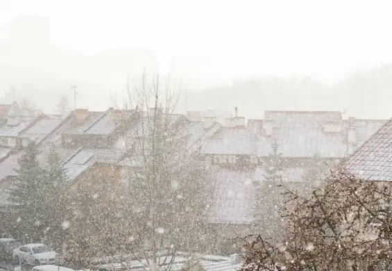 Śnieg, deszcz i przymrozki. Zima w kwietniu nie powinna odwracać uwagi od zmian klimatu