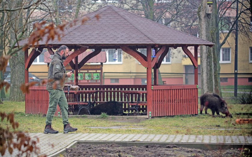 Leśniczy ze strzelbą pneumatyczną