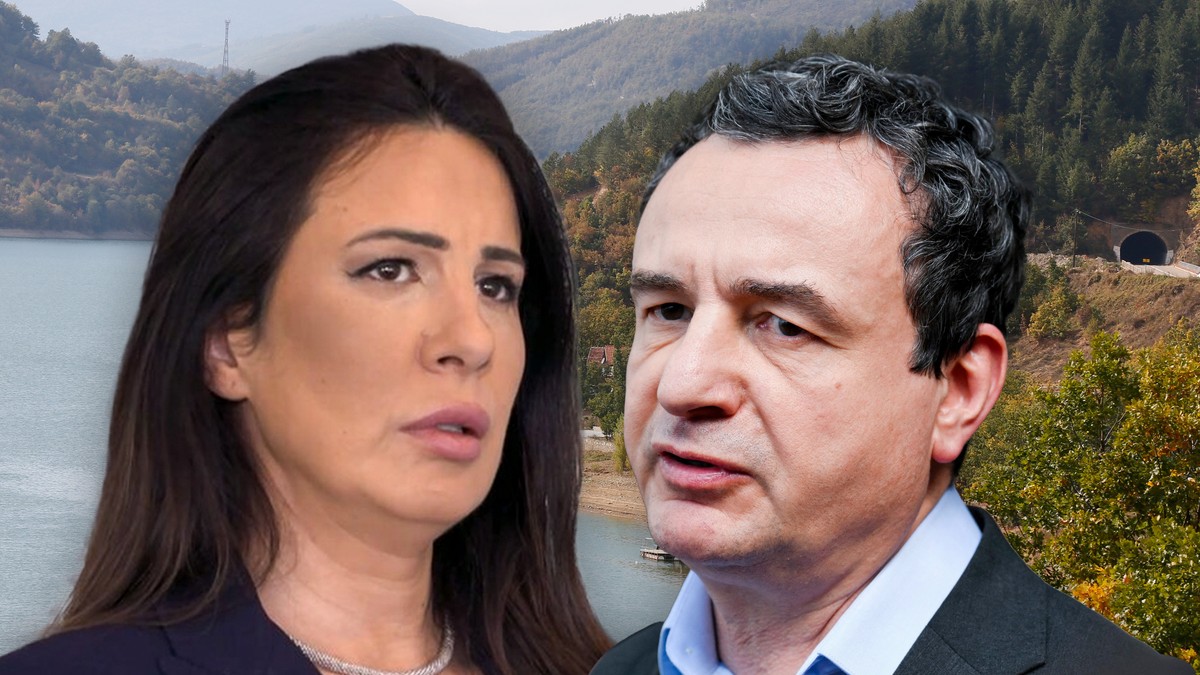 Danijela Nikolić, Aljbin Kurt 