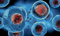 Badanie komórek odporności pomoże ocenić ryzyko raka