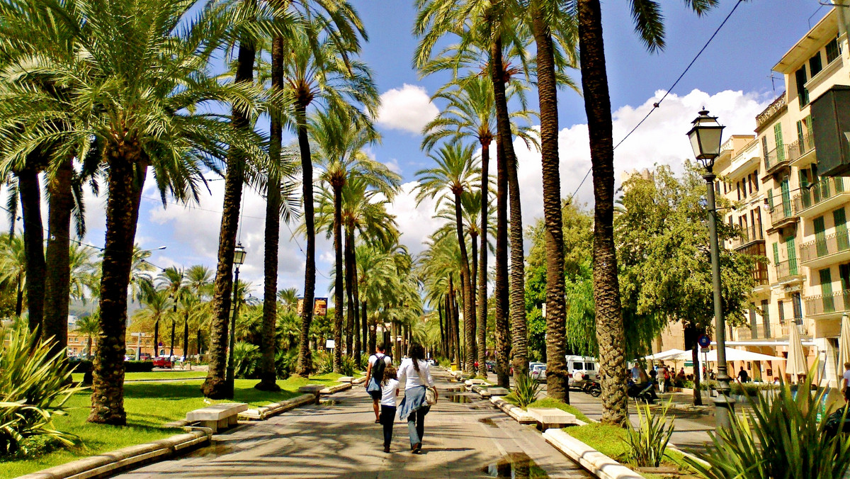 Punta Cana, Cuzco, Dżerba - oto miasta, które turyści najchętniej i najczęściej odwiedzają w celach wypoczynkowych. W rankingu do pierwszej dziesiątki trafiło jedno europejskie miasto, Palma de Mallorca.