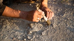 sensacyjne odkrycie pod parlamentem w hadze. archeolodzy natrafili na zapomnianą bramę