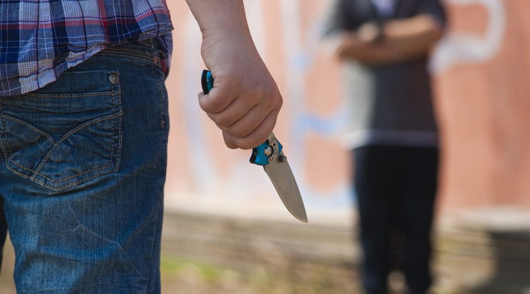  Késsel ugrott neki áldozatának a 31 éves férfi / Fotó: Profimedia - Reddot