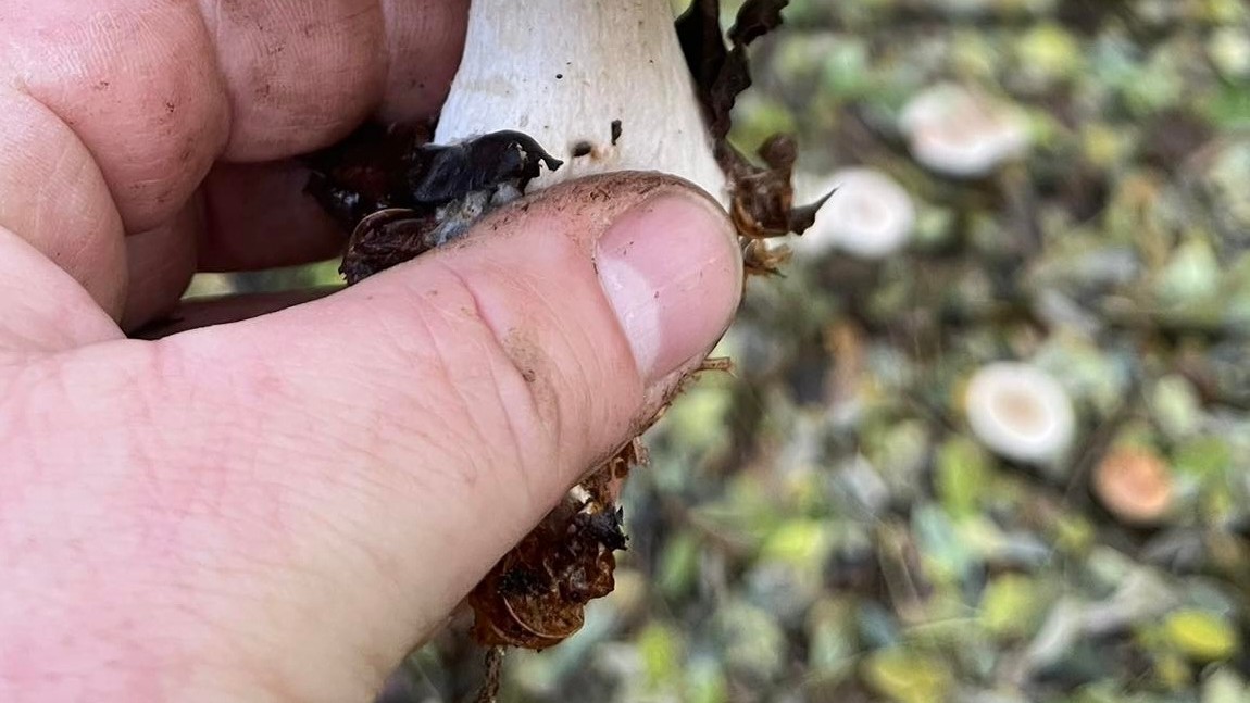 Robert sa na sociálnej sieti pochválil nevídaným úlovkom.