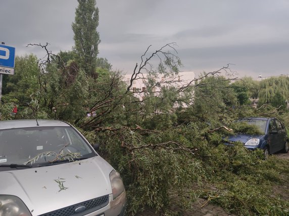 Nawałnica spustoszyła Osiedle Podwawelskie