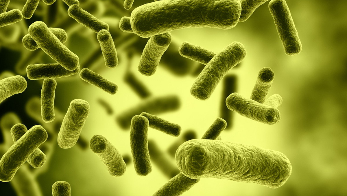 Groźne szczepy bakterii Clostridium difficle (wywołującej rzekomobłoniaste zapalenie jelit) rosną o wiele szybciej, jeśli w ich środowisku znajduje się trehaloza – popularny dodatek do żywności – dowodzą badania, opublikowane w czasopiśmie "Nature".