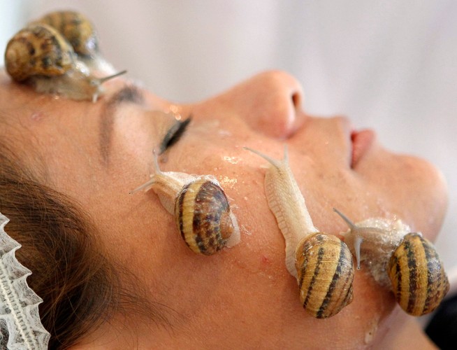 Ślimak pomoże zadbać o piękną cerę?