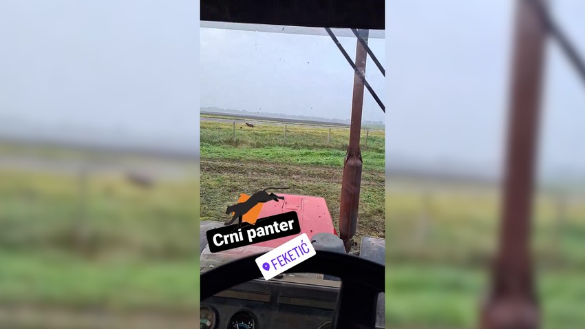 Snimak nastao kod Feketića je uzbunio javnost