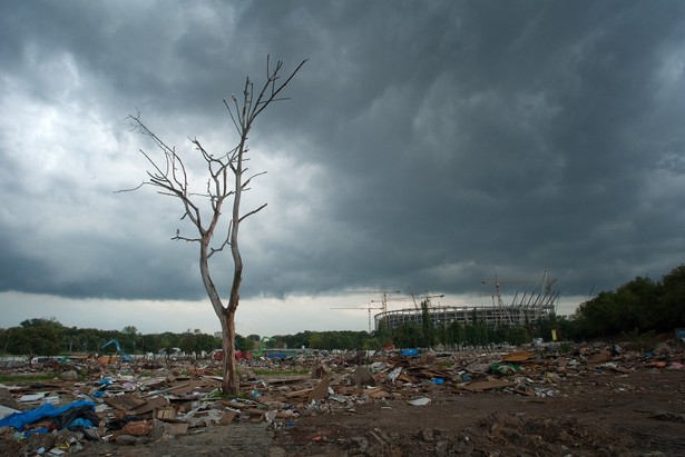 Drzewo i śmietnisko w miejscu usuniętego Jarmarku Europa. Prace związane z budową Stadionu Narodowego na Mistrzostwa Europy w Piłce Nożnej Euro 2012. Warszawa, 24 sierpnia 2010r.,BZ WBK Press Foto 2011 Miejsce 3 | Cywilizacja Tomasz Paczos Photoo