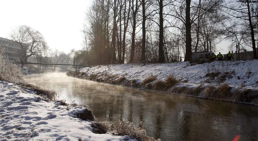 Matka Madzi z Sosnowca rozbiła głowę mężowi