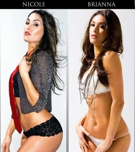 The Bella Twins