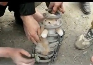 489439_maca-u-amortizeru