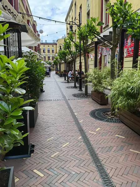 Ogródki restauracyjne na ulicy Piotrkowskiej