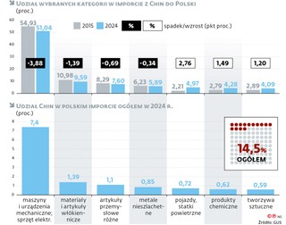 Udział wybranych kategorii w imporcie z Chin do Polski