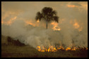 "Wiek półcienia. Sztuka w czasach planetarnej zmiany" w Muzeum Sztuki Nowoczesnej w Warszawie. Na zdjęciu: Frans Krajcberg, "Deforestation" (Brazylia)