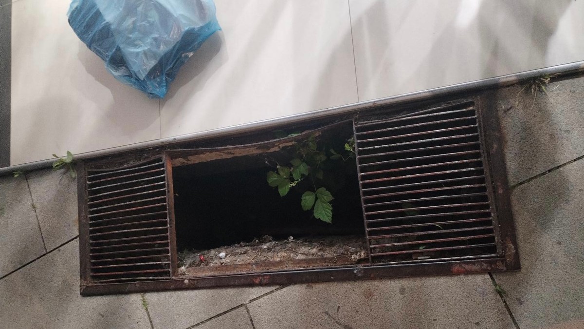  Čačanka Vesna J. upala u otvorenu šahtu