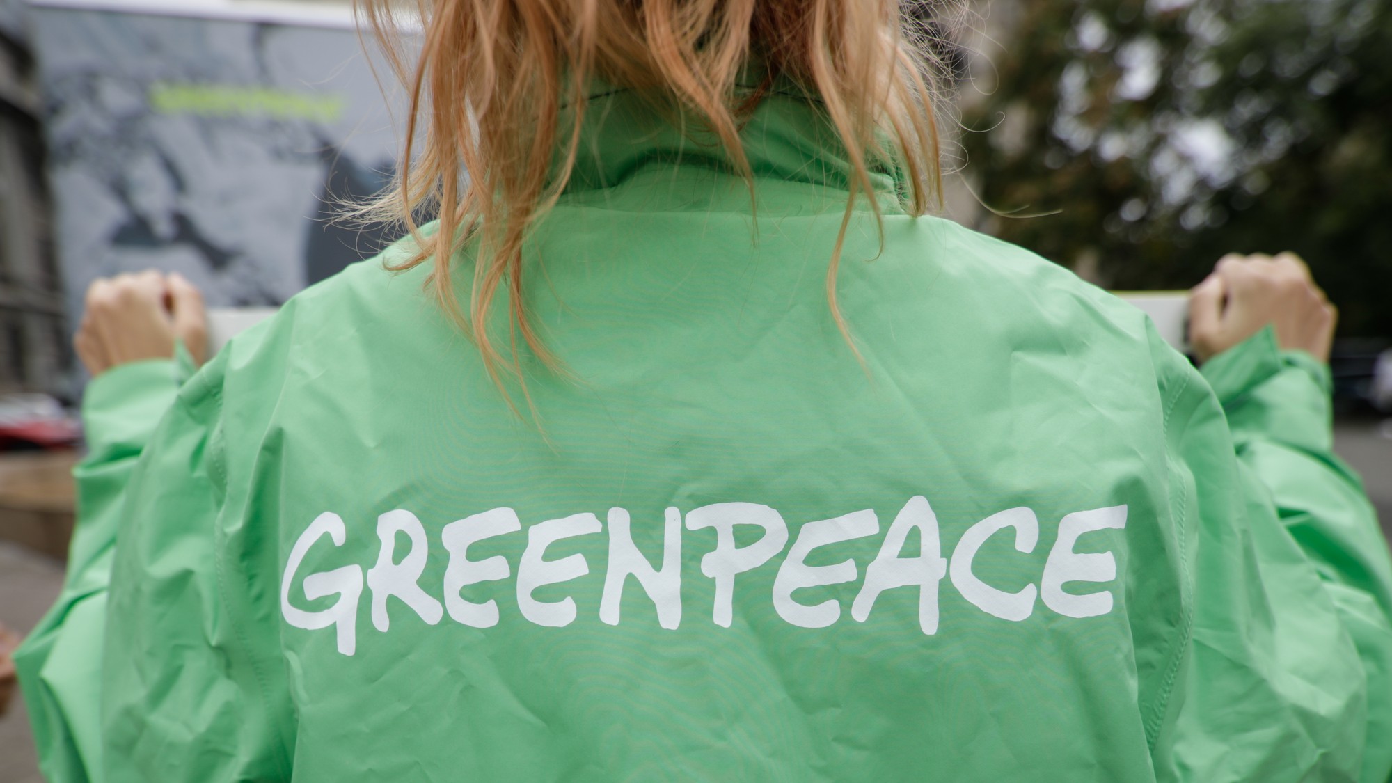 Greenpeace kritizuje vládu pre ochranu lesov a vývoz dreva na Slovensko. (ilustračné foto)