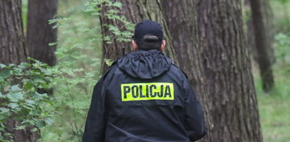 Makabryczne odkrycie w gminie Podegrodzie. W sadzie znaleziono zwłoki matki 9 dzieci