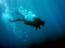 Znaleziono ciało członka załogi "Rozgwiazdy"