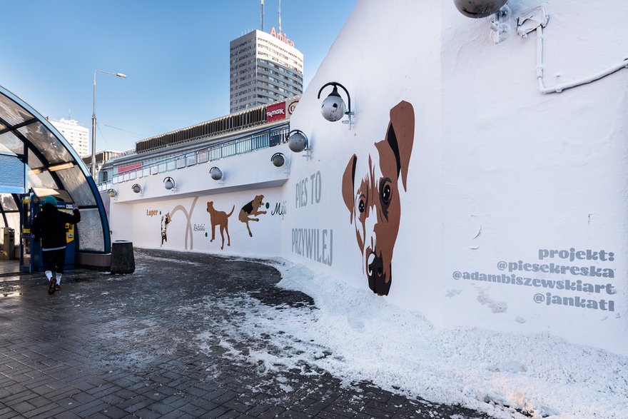 Rasowy Kundel. Charytatywny mural powstał w centrum Warszawy!