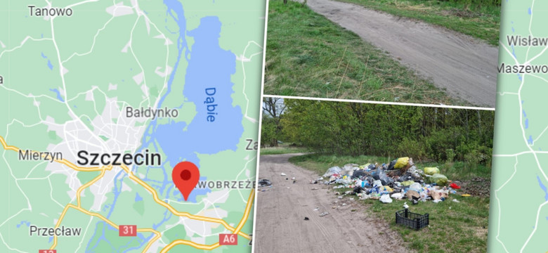 Wyrzuciła śmieci do parku w Szczecinie. Zdradził ją rachunek