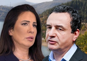 Danijela Nikolić, Aljbin Kurt 