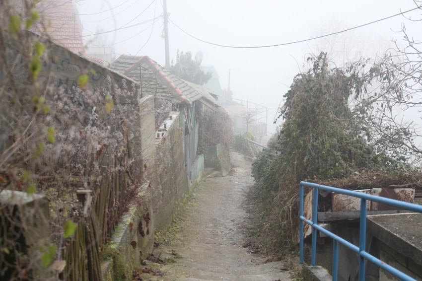 Prilaz kući u kojoj se dogodilo ubistvo Nemanje Žikića u Zemunu