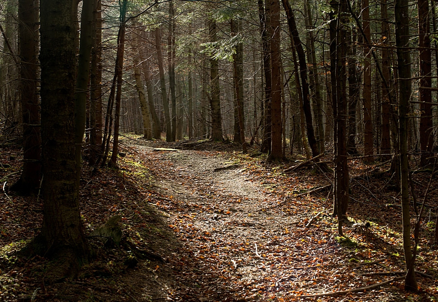 Babia Góra, Polska