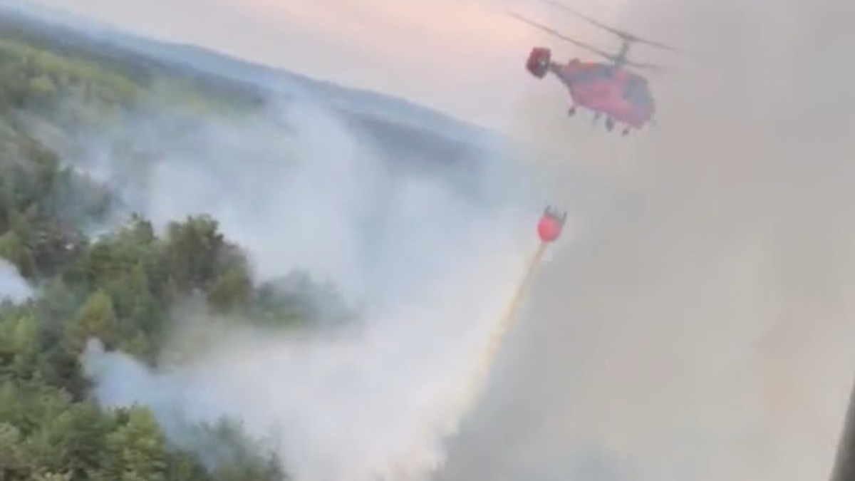 Piloti Helikopterske jedinice MUP gase požar u Deliblatskoj peščari 