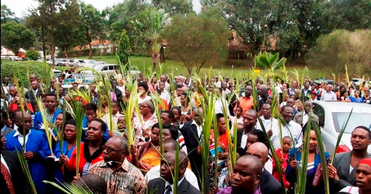 1,000 Anglican parishioners celebrate Palm Sunday - Vimarsana News