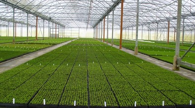 See the Zanzibar project the United states is investing Sh 2.3 billion in