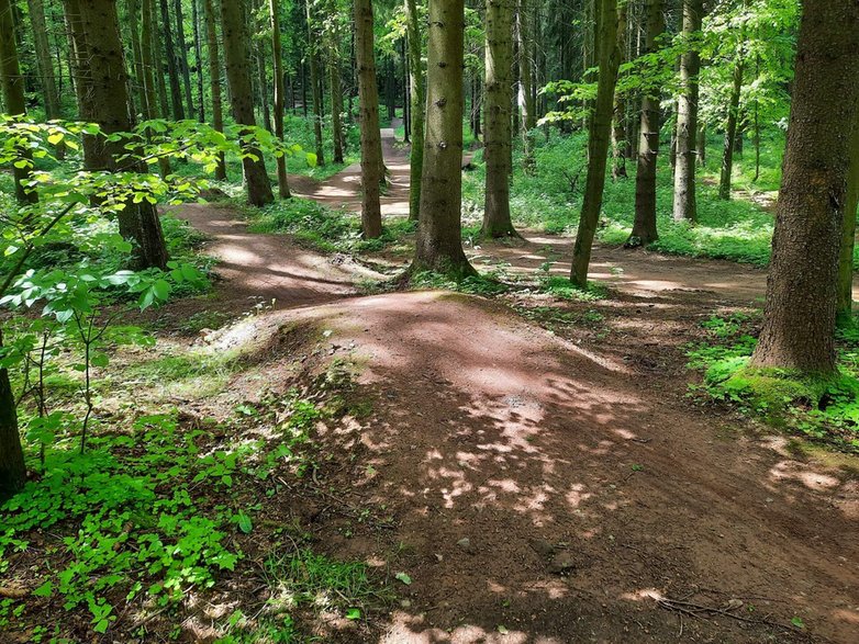 TrutnovTrails fot. ictrutnov.cz