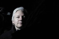 assange czarne tło