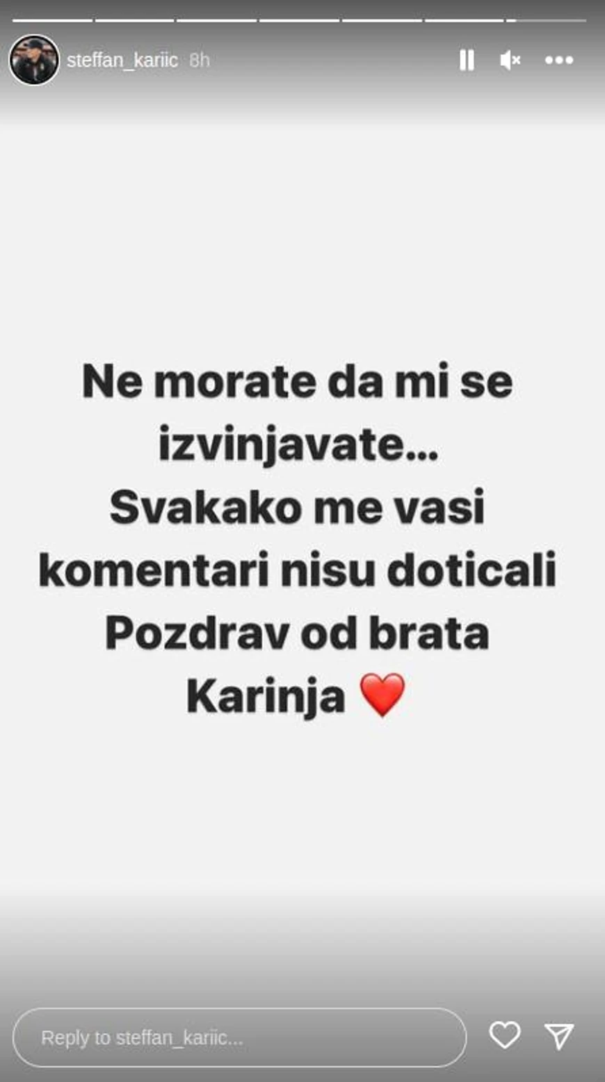 stefan karic